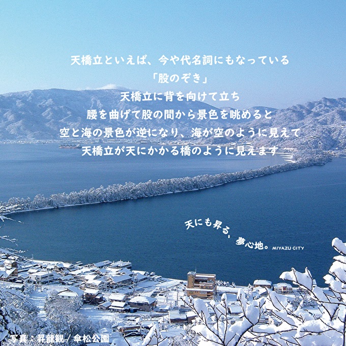 宮津市内の旅館組合施設利用可 宿泊・食事補助券D 京都 天橋立 旅行 宿泊 夏休み 冬休み 家族 ペア 友達 記念日 海水浴 温泉 カニ 蟹 ブリ 城崎温泉 京丹後 京都府 近畿 宿泊券 お食事券 体験 飲食店 旅館 15枚 15,000円相当 