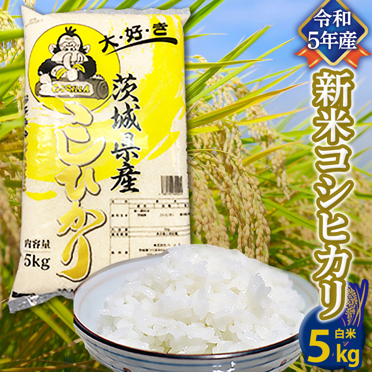 新米】恋瀬姫の舞 こしひかり 茨城県筑波山麓 10kg(5kg×2）