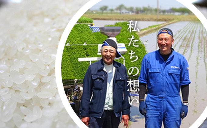 令和7年度産ミルキークイーン　白米5kg×6カ月定期 お米 ライス 精米 ブランド米 ご飯 炭水化物 毎食 朝ごはん ランチ 昼ごはん 夜ごはん 食卓 主食 おにぎり 直送 低農薬 