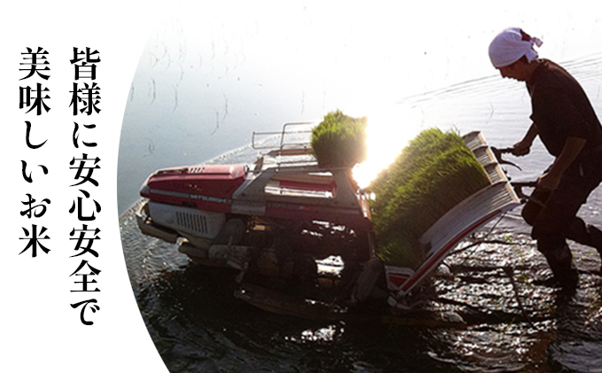 令和7年度産ミルキークイーン　白米5kg×6カ月定期 お米 ライス 精米 ブランド米 ご飯 炭水化物 毎食 朝ごはん ランチ 昼ごはん 夜ごはん 食卓 主食 おにぎり 直送 低農薬 