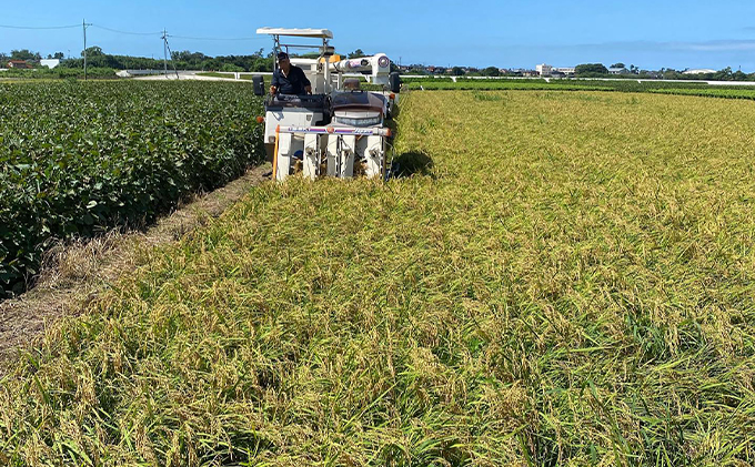 北本農場こだわりのお米令和7年度産コシヒカリ精米10kg有機肥料(ボカシ肥料）で育てたお米