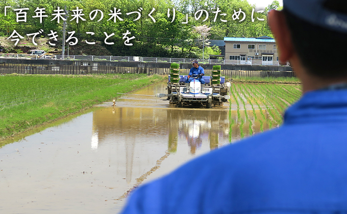 令和7年度産ミルキークイーン　白米5kg×6カ月定期 お米 ライス 精米 ブランド米 ご飯 炭水化物 毎食 朝ごはん ランチ 昼ごはん 夜ごはん 食卓 主食 おにぎり 直送 低農薬 