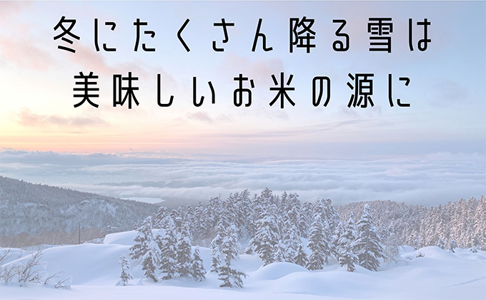 北海道上富良野町のふるさと納税 ◆2ヶ月に1回お届け/計3回定期便◆ななつぼし 無洗米 5kg /北海道 上富良野産 ～It's Our Rice～ お米 5キロ 特Ａ