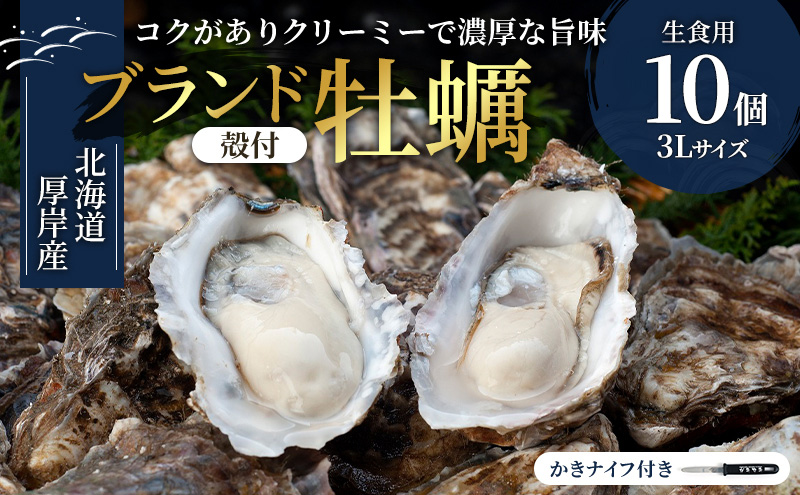 北海道厚岸産 生食用　殻付カキ3Lサイズ10個　マルえもん 魚貝類 海の幸 海のミルク 海鮮 国産 北海道産 オイスター つまみ お酒 あて 肴 生牡蠣 メルマガ掲載商品1 