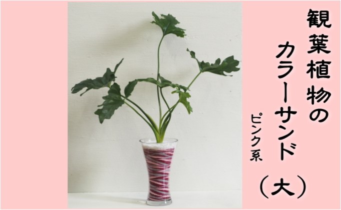 yqszJ[ThiKXԊFjsNn A CeA   O[   O[CeA A[go 񂹐A 1_