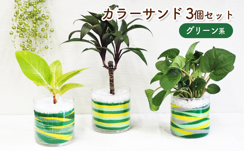 カラーサンド 3個 セット グリーン系 植物 インテリア ガーデン 