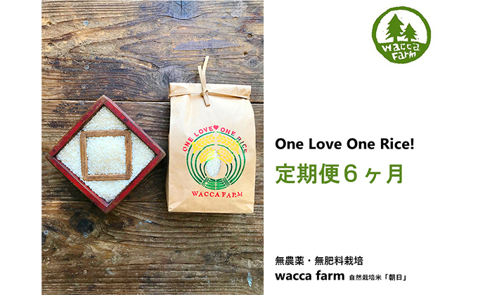 定期便6ヶ月　瀬戸内自然栽培米 令和7年産「朝日」5分づき 5kg お米 エネルギー 無農薬 無肥料 有機肥料 旨味 おいしい 太陽 光 貴重 丁寧 難しい 