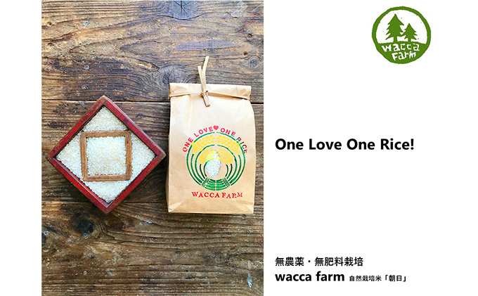 瀬戸内自然栽培米 令和7年産「朝日」白米 5kg お米 エネルギー 無農薬 無肥料 有機肥料 旨味 おいしい 太陽 光 貴重 丁寧 難しい 