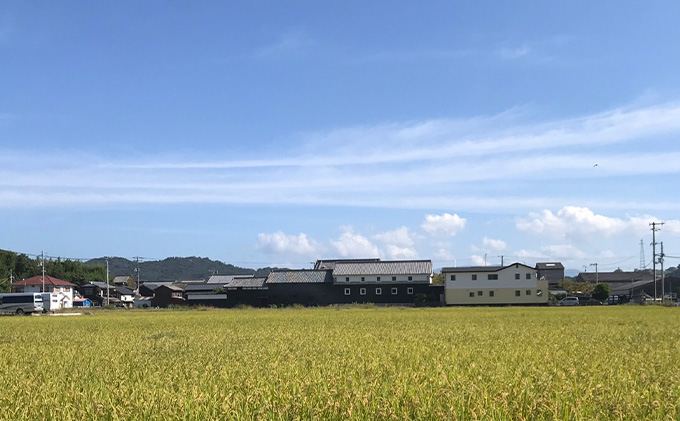 瀬戸内自然栽培米「朝日」5分づき 5kg お米 エネルギー 無農薬 無肥料 有機肥料 旨味 おいしい 太陽 光 貴重 丁寧 難しい 