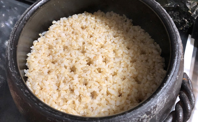 瀬戸内自然栽培米「朝日」5分づき 5kg お米 エネルギー 無農薬 無肥料 有機肥料 旨味 おいしい 太陽 光 貴重 丁寧 難しい 