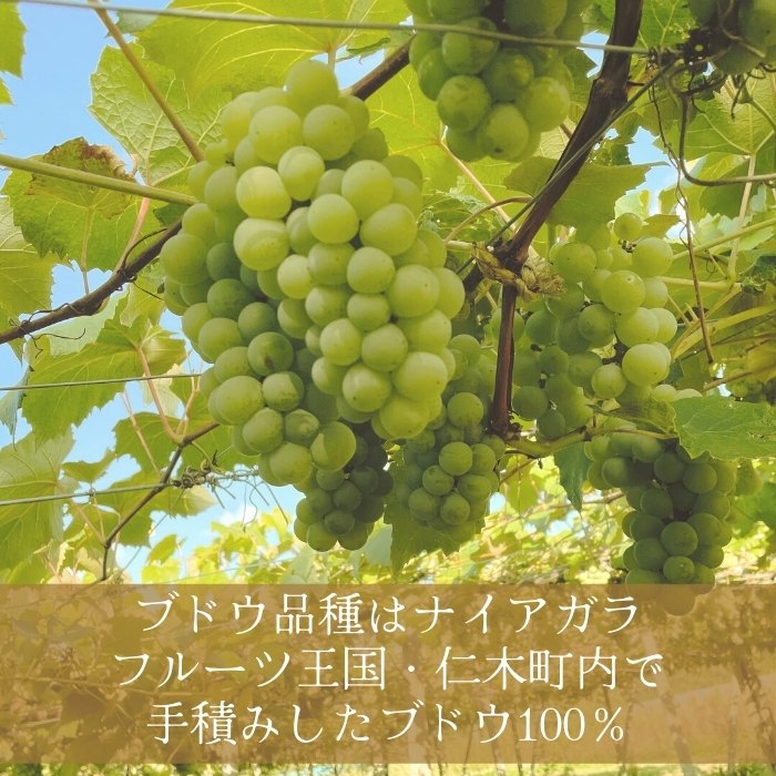 【北海道産ワイン】 限定スパークリングワイン KP”Beginning" 750ml×1本 仁木町産ナイアガラ100%使用 ワイン 白 辛口 スパークリング お酒 シャンパン 