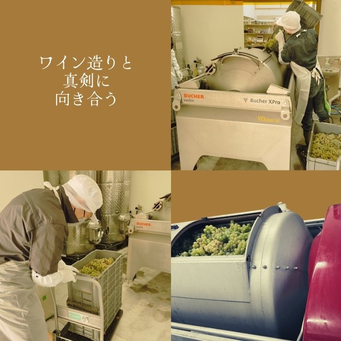 【北海道産ワイン】 限定スパークリングワイン KP”Beginning" 750ml×1本 仁木町産ナイアガラ100%使用 ワイン 白 辛口 スパークリング お酒 シャンパン 