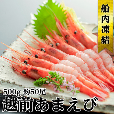 【福井県若狭町】日本海 甘えび 子なし 500g 約50尾 越前甘えび 甘海老 あまえび えび エビ 海老 魚介 魚介類 海鮮 冷凍 福井 福井県 若狭町