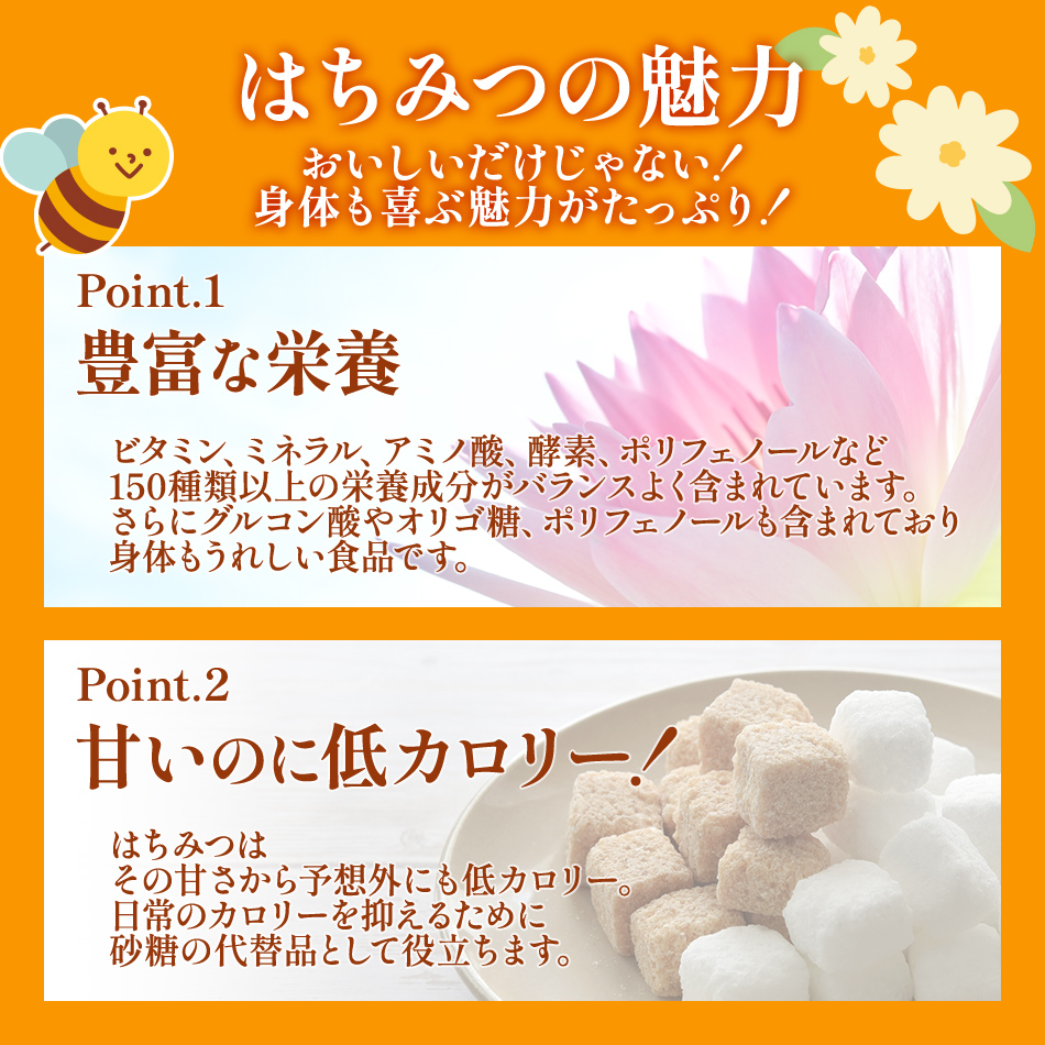 福岡県大木町のふるさと納税 国産蜂蜜ギフト 1,000g　白ラベル　CD01