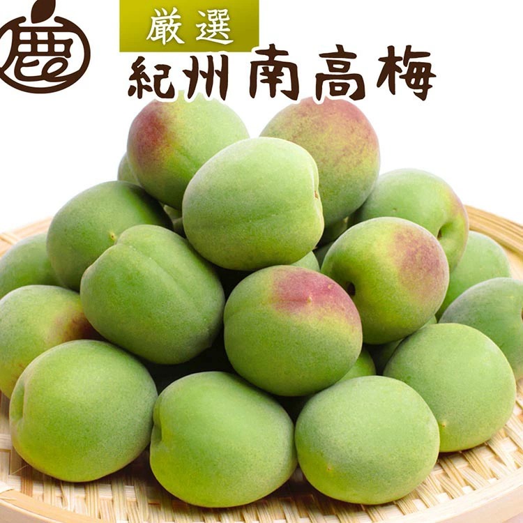 【和歌山県美浜町】<6月発送>厳選  紀州南高梅(青梅)5kg+250g(傷み補償分)【朝摘み・とれたて直送便】【梅干し・梅酒・梅ジュース】【和歌山産】