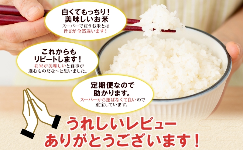 北海道倶知安町のふるさと納税 定期便 12ヶ月連続12回 北海道産 ゆめぴりか 精米 5kg 米 新米 特A 白米 お取り寄せ ごはん 道産米 ブランド米 1年 お米 ご飯 おまとめ買い ホクレン 北海道 倶知安町 【定期便・お米・ゆめぴりか・精米】