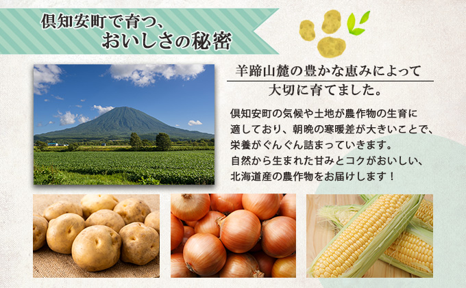 北海道産 道塚農園 じゃがいも 食べ比べ 2種セット 男爵 北