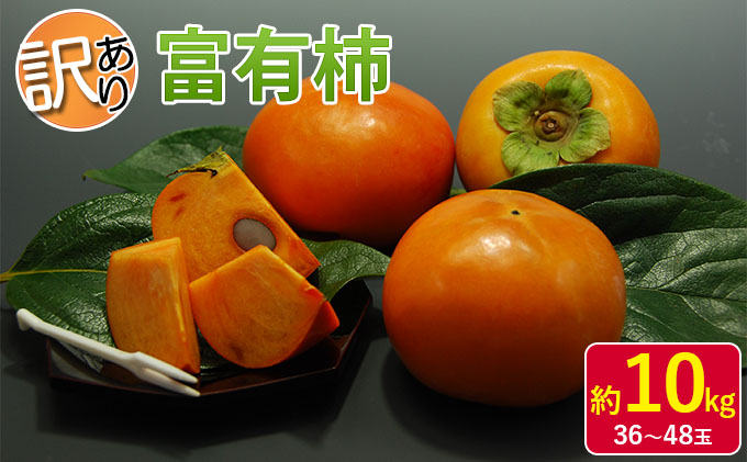 yqsz󂠂 ` xL` 10kg 36`48 ICό zs  ʕ t[c H̖o { fU[g ʎ `̉l Ê` \i q̊` 