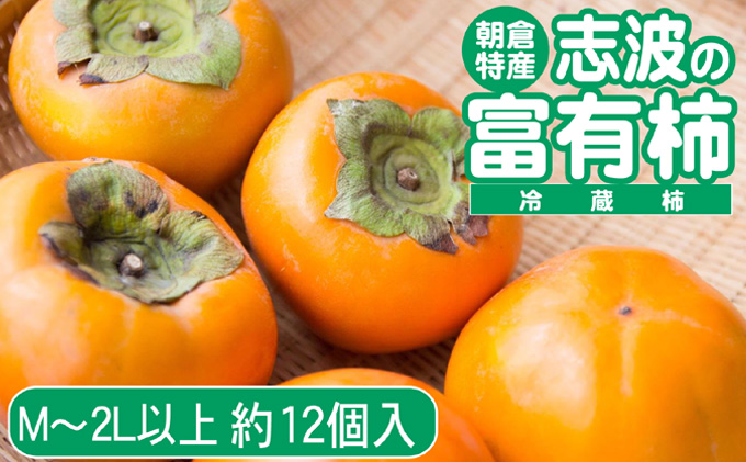 【福岡県朝倉市】2025年先行予約 志波の富有柿 M〜2Lサイズ×約12個入(冷蔵)発送予定:2025年12月20日〜2026年1月31日 ※配送不可:離島 果物 フルーツ 秋の味覚 おやつ デザート 産地直送 ブランド 柿の王様 福岡県産 朝倉市産