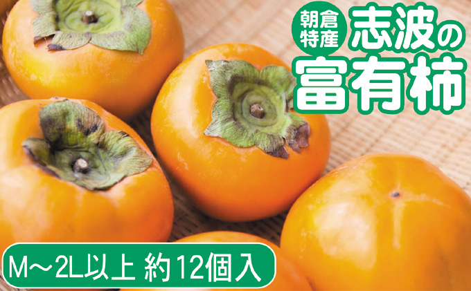 【福岡県朝倉市】2025年先行予約 志波の富有柿 M〜2Lサイズ×約12個入 発送予定:2025年11月20日〜12月25日 ※配送不可:離島 果物 フルーツ 秋の味覚 おやつ デザート 産地直送 ブランド 柿の王様 福岡県産 朝倉市産