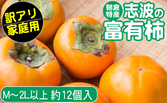 【福岡県朝倉市】2025年先行予約 志波の富有柿 家庭用 M〜2Lサイズ×約12個入 発送予定:2025年11月20日〜12月25日 ※配送不可:離島 果物 フルーツ 秋の味覚 おやつ デザート 産地直送 ブランド 柿の王様 福岡県産 朝倉市産