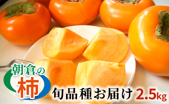 【福岡県朝倉市】柿 朝倉の柿はじめました。季節の朝倉の柿 約2.5kg 8-10玉 配送不可 離島 果物 フルーツ 秋の味覚 旬 デザート 果実 おやつ 美味しい品種 厳選 お届け