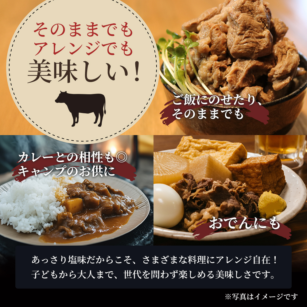 牛すじ煮込み 900g (300g×3個) セット 詰め合わせ 仙台牛 国産 牛 国産牛 国産牛肉 牛肉 肉 お肉 牛すじ 牛筋 煮込み 惣菜 化学合成添加物不使用 保存料不使用 湯煎 湯せん ボイル 牛すじ肉 すじ肉 ご飯のお供 ごはんのお供 宮城 宮城県 岩沼市