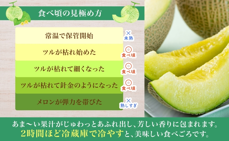 2025年産 メロン お問い合わせ専用 2025年先行予約【2玉・2箱セット】甘くてジューシーなメロン