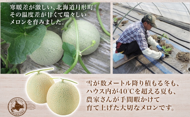 【2026年夏発送】北海道 青肉メロン 月雫 優品 4～6玉 計約8kg 令和8年 メロン 果物 フルーツ 旬 季節 希少 甘い 豊潤 国産 北海道産 デザート ご褒美 産地直送 産直 ギフト お祝い 贈答品 贈り物 御中元 お取寄 送料無料 