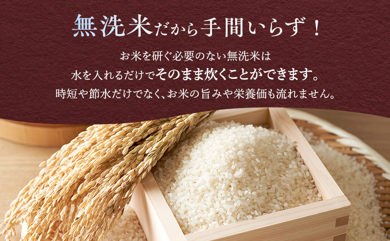【令和7年度産】富良野 山部米研究会【 ゆめぴりか＆ななつぼし 】無洗米 計10kg お米 米 ご飯 ごはん 白米 令和7年 令和7年産 新米 新米予約 送料無料 北海道 富良野市 道産 直送 ふらの