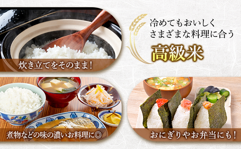 【令和7年度産】富良野 山部米研究会【 ゆめぴりか＆ななつぼし 】無洗米 計10kg お米 米 ご飯 ごはん 白米 令和7年 令和7年産 新米 新米予約 送料無料 北海道 富良野市 道産 直送 ふらの