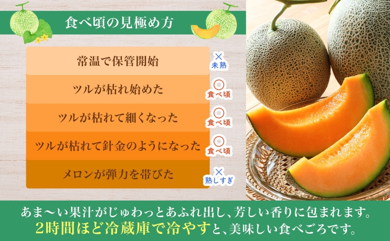 【2026年夏発送】北海道 赤肉メロン 北の女王 優品 4～6玉 計約8kg 令和8年 メロン 果物 フルーツ 旬 季節 希少 甘い 豊潤 国産 北海道産 デザート ご褒美 産地直送 産直 ギフト お祝い 贈答品 贈り物 お中元 人気 送料無料 