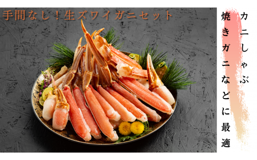 16-145 【年内配送12月15日入金まで】手間なし！極上生ずわいがにセット約900g(カット済み) within2025
