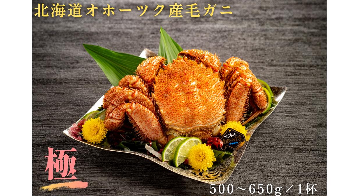 18-160 【年内配送12月15日入金まで】北海道産毛ガニ　500～650g×1杯 within2025