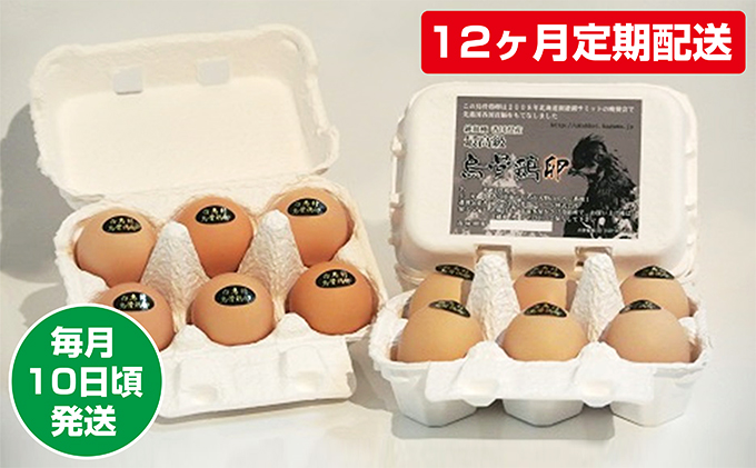 y쌧szy12zzG{ 10