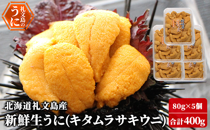 11月２日 地元でとれたてムラサキウニ１０枚セット 楽天市場】【送料無料】天草殻出し生うに＜ムラサキウニ＞50g×2