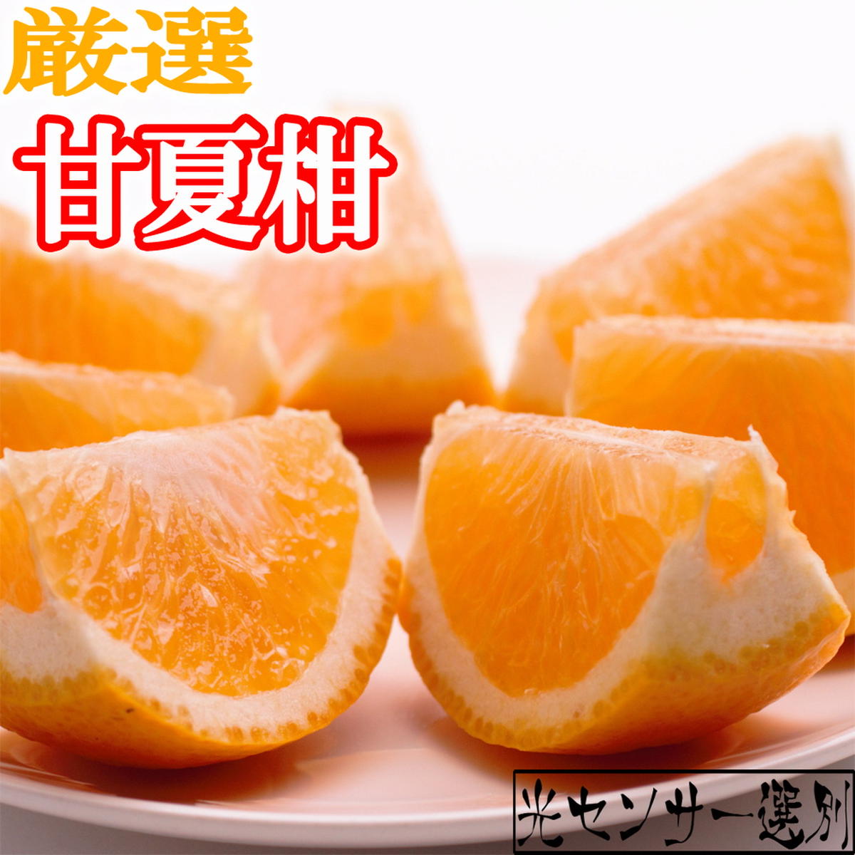 ＜4月より発送＞厳選 甘夏柑7.5kg+250g（傷み補償分）◇【初夏のみかん・旬の果物】【有田産】【光センサー食べ頃出荷】 ※北海道・沖縄・離島への配送不可 ※2026年4月上旬～5月下旬頃に順次発送予定