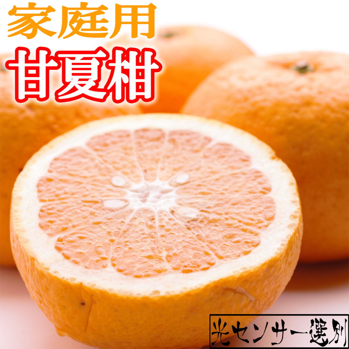 【和歌山県美浜町】<4月より発送>家庭用 甘夏柑5kg+250g(傷み補償分)◇【初夏のみかん・旬の果物】【有田産】【光センサー食べ頃出荷】【わけあり・訳あり】 ※北海道・沖縄・離島への配送不可 ※2026年4月上旬〜5月下旬頃に順次発送予定