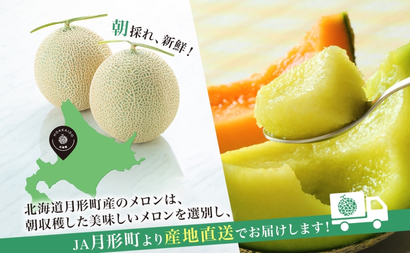 2025年夏発送】北海道 青肉メロン 月雫 優品 4～6玉 計約8kg 令