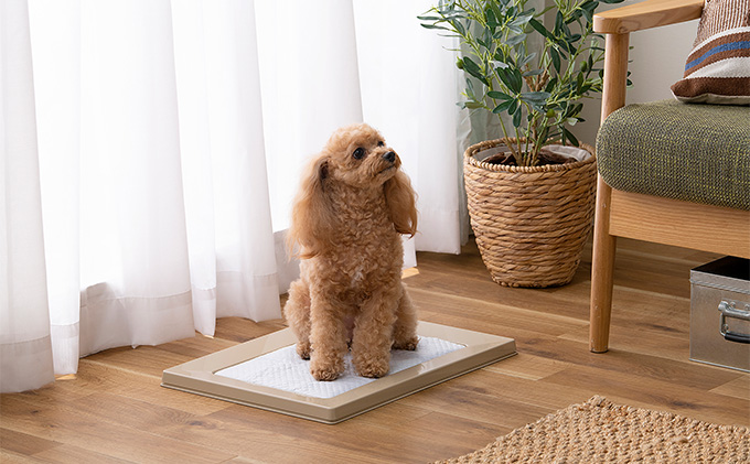 スクエアドッグトレー レギュラー SQDT-482R ベージュ アイリスオーヤマ ペット用品 犬 愛犬 グッズ おしっこ おしっこトレー マグネット シーツ交換 ラク 内側に流れる 傾斜形状 掃除しやすい 