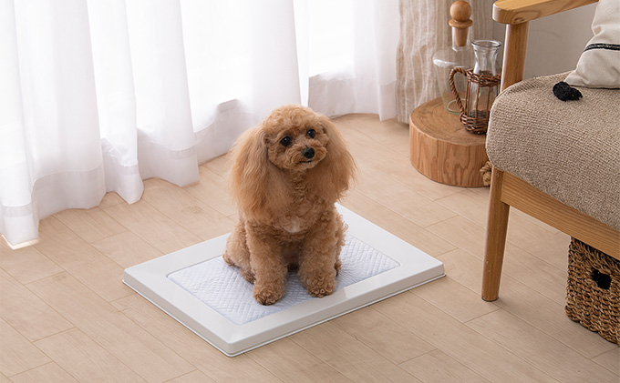 スクエアドッグトレー レギュラー SQDT-482R ホワイト アイリスオーヤマ ペット用品 犬 愛犬 グッズ おしっこ おしっこトレー マグネット シーツ交換 ラク 内側に流れる 傾斜形状 掃除しやすい 