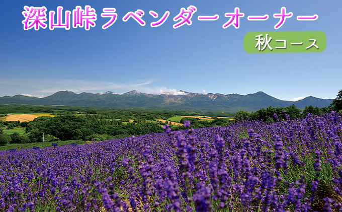 ラベンダーオーナー制度（秋コース） チケット 入場券 優待券 野菜