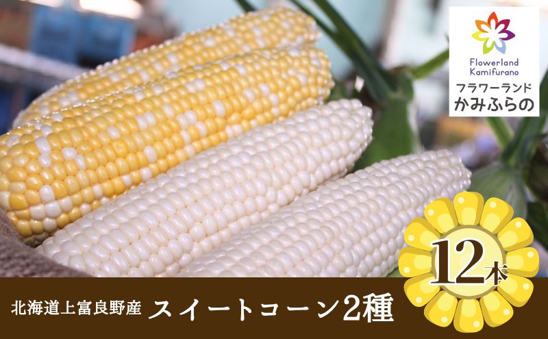 北海道 上富良野 町産 スイートコーン 2種 セット 食べ比べ バイ