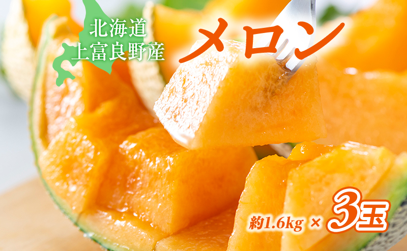 赤肉メロン　L サイズ　6玉　綺麗品 赤肉メロン（2L） 【業務用食材の仕入れなら八面六臂】