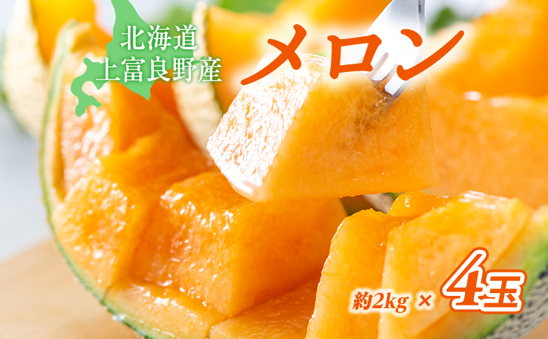 2024年発送】かみふらの 赤肉メロン 約1.6kg 5玉 セット 北海道