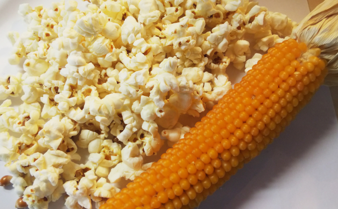 自宅で楽しい！！食育にピッタリ）上富良野産手作りポップコーンセット