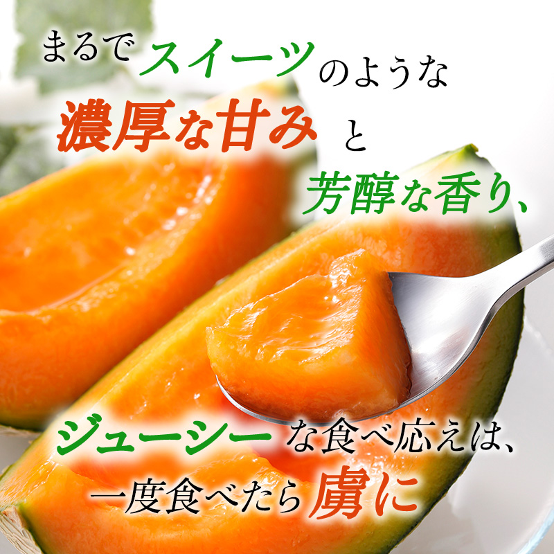 令和8年産】JAふらの厳選！約2kg×4玉 赤肉メロン メロン めろん 富良野