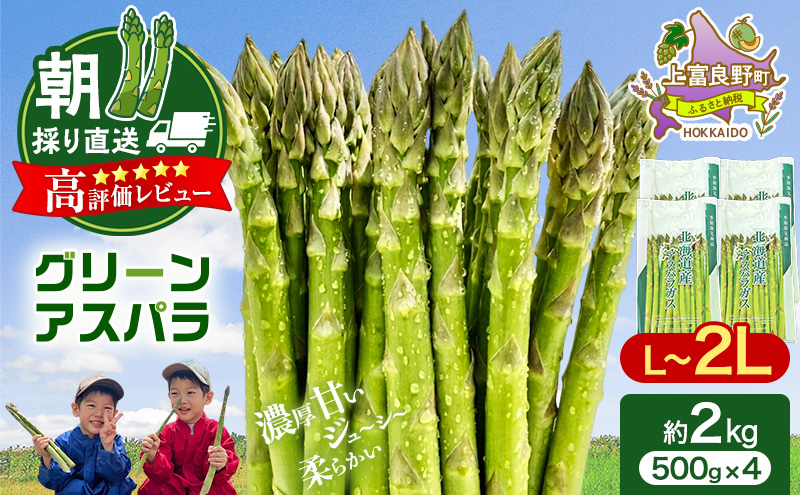 令和8年産】アスパラ専門農家の特選グリーンアスパラ2kg（L～2L