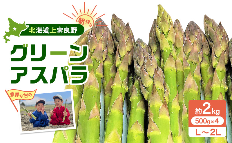 2026年分先行予約】アスパラ専門農家の特選グリーンアスパラ2kg