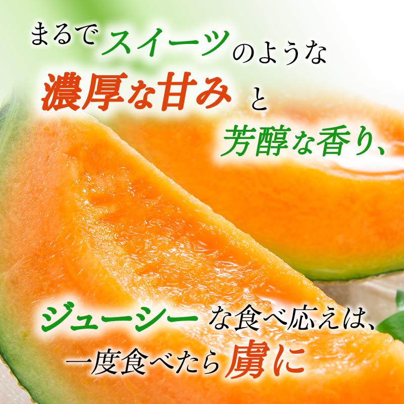 令和8年発送】 先行予約 メロン かみふらの 赤肉 メロン 約 1.6kg 2玉